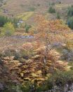 Torridon_October_2012-8.jpg