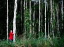 Tree_Hugger_-_Copy.jpg