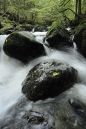 Tumbling-Torrent.jpg