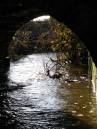 Under-the-Bridge.jpg