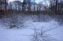 Virgin-Snow.jpg