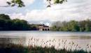 WC_Boscastle_Swithland.jpg