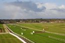 WEHERBY_RACOURSE_RAINBOW_3.jpg