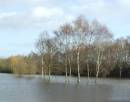 WETHERBY_GOLF_CLUB_FLOODS_24_1_2008_60.jpg