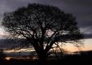 WETHERBY_SUNRISE_3.jpg