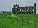 WHITBY_ABBEY1.jpg