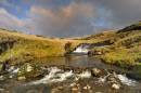 WIL2270_Afon_Tawe_Tinge_1024x768_.jpg