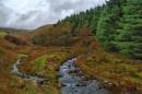 WIL2374_Nedd_Fechan_1024x768_.jpg