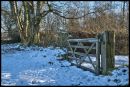 WIL2609Winter_Gate_2_1024x768_.jpg