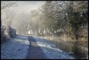 WIL3244Frosty_Morning_1024x768_.jpg