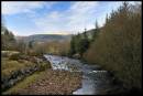 WIL3625Afon_Taf_Fawr_1024x768_.jpg