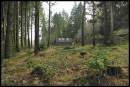 WIL3633_Forest_Cabin_1024x768_.jpg