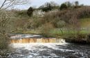 Wain-Wath-Force.jpg