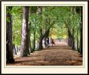 Walking-the-Dog-0142b.jpg