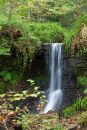 Waterfall_edited-11.jpg