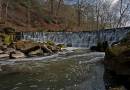 Weir_edited-1.jpg
