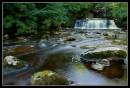 Wensleydale_11_CotterForce800.jpg