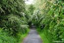 Wetherby_Railway_22-5-14.jpg