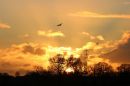 Wetherby_Sunrise_8-12-2018.jpg