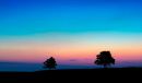 Wind-Cave-5588_wpf.jpg