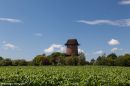 Windmill_1-4940_wpf.jpg
