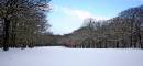Winter-WALK.jpg