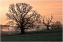 Winter-at-Llangasty-IMG_0251wp.jpg
