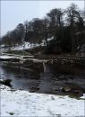 Winter_Wharfe.jpg