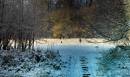 Winter_scene.jpg