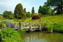 Wisley-Bridge.jpg