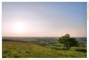 Wittenum_clumps-5.jpg