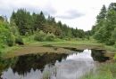 Woodland-Lake.jpg