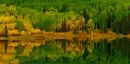 Woods_Lake_1a-web.jpg
