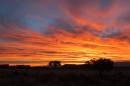 WorldPhotoSunset.jpg