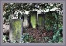 Wytham_Church-8972_copy.jpg