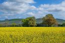XT103875M_resize.JPG