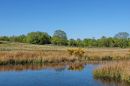 XT103914M_resize.JPG
