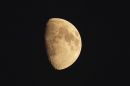 XT120173M.jpg