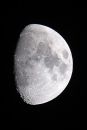 XT120357M.jpg