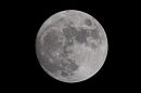 XT120393M.jpg