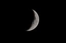 XT1A3868M.jpg