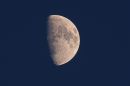 XT1A4157M.jpg