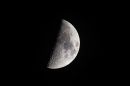 XT1A4522M.jpg