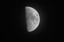 XT1A4690M2.jpg