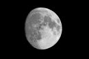 XT202567M_resize.JPG