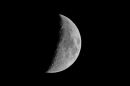 XT202980M_resize.JPG