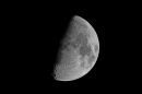 XT202982M_resize.JPG