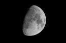 XT202986M_resize.JPG