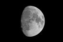 XT202992M_resize.JPG