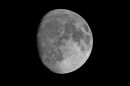XT202996M_resize.JPG